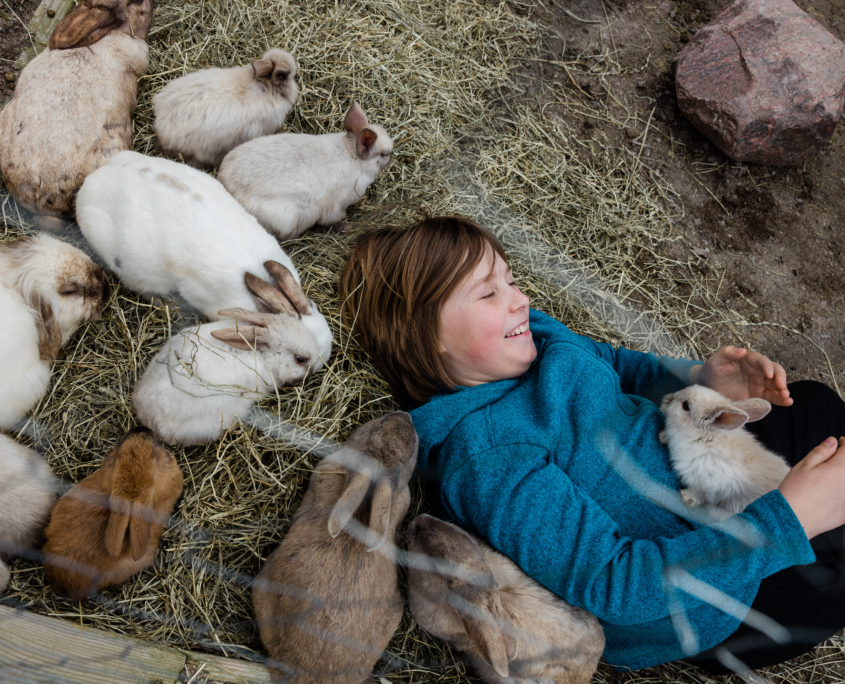 Bo på lantgård och mys med djuren Bo på lantgård i Bohuslän - Västkusten