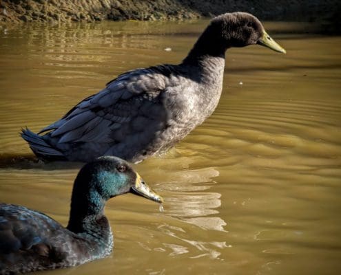 PXL_20231005_112024677-EDIT