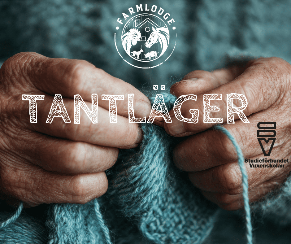 Tantläger med Handarbete, God Mat och Mys med Djuren