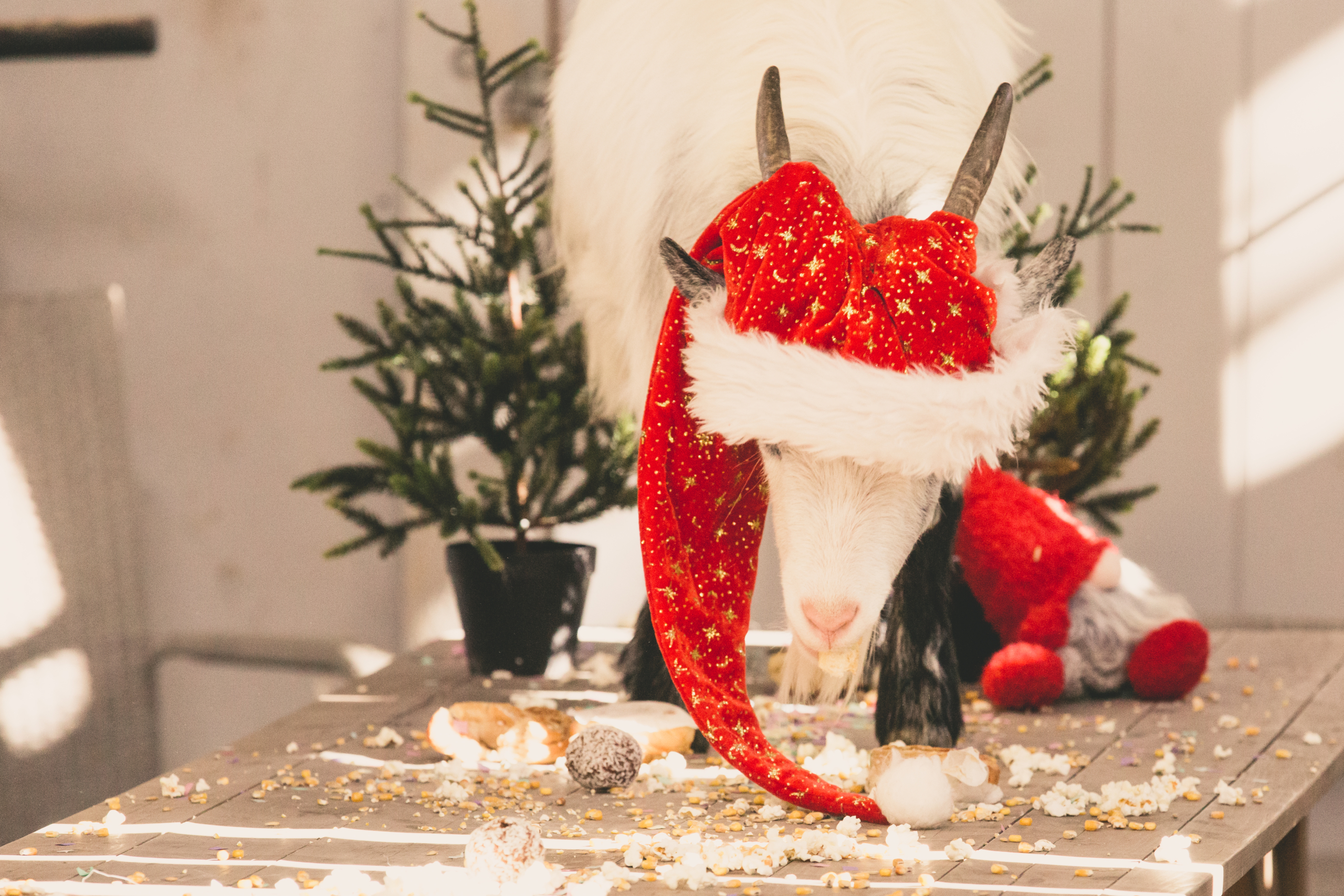 🎄 JULBORDSTABERAS🎄